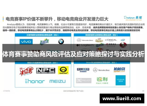 体育赛事赞助商风险评估及应对策略探讨与实践分析
