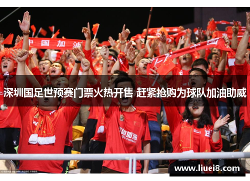 深圳国足世预赛门票火热开售 赶紧抢购为球队加油助威