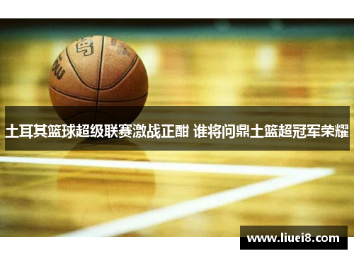 土耳其篮球超级联赛激战正酣 谁将问鼎土篮超冠军荣耀