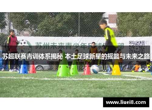 苏超联赛青训体系揭秘 本土足球新星的摇篮与未来之路